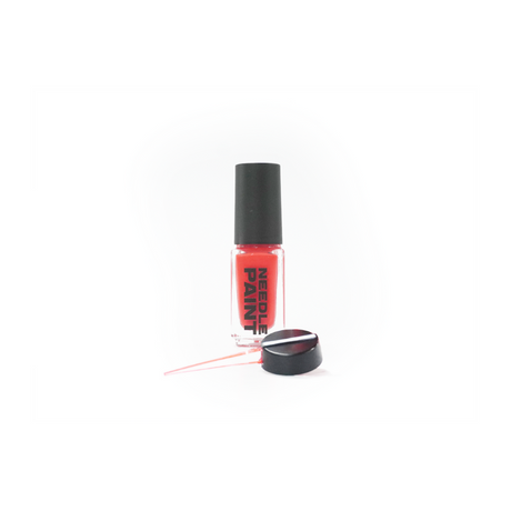 Needle Paint Kit
